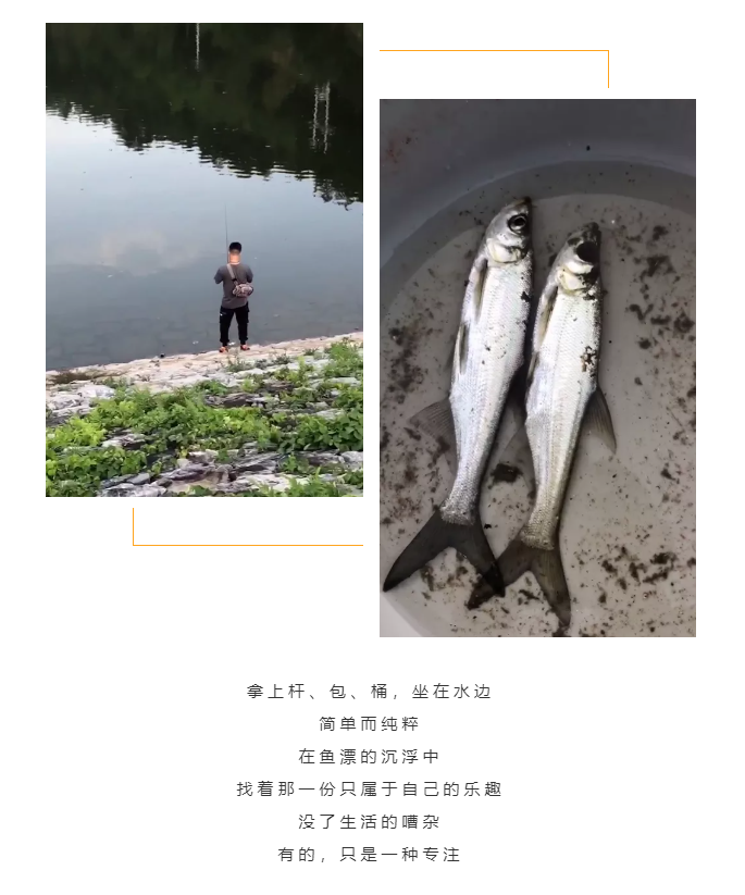 秋天了，來一場成年人的秋游吧(圖5)