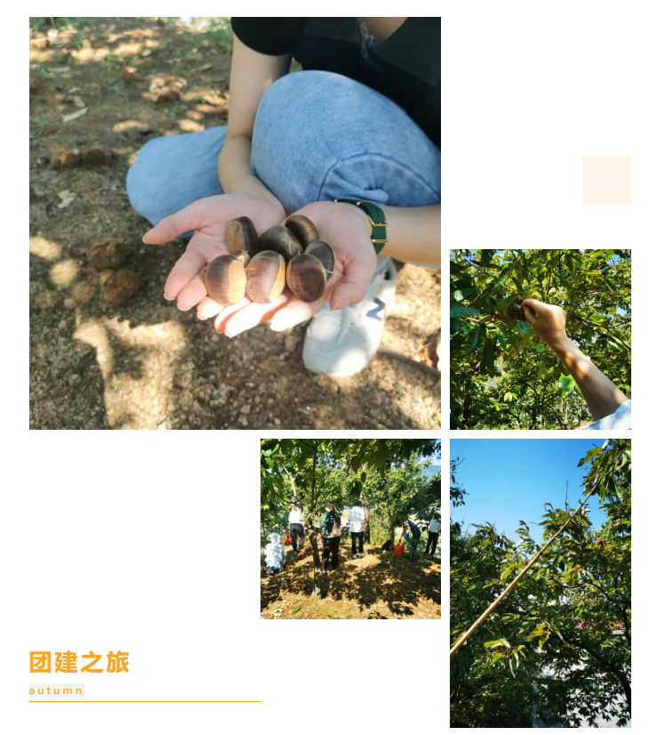 秋天了，來一場成年人的秋游吧(圖6)